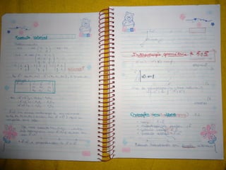 Mat003 caderno hanneli