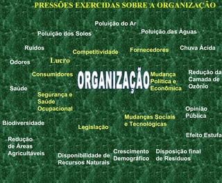 PRESSÕES EXERCIDAS SOBRE A ORGANIZAÇÃO
Poluição do Ar
Poluição dos Solos Poluição das Águas
Ruídos
Odores
Saúde
Consumidores
Competitividade Fornecedores Chuva Ácida
Redução da
Camada de
Ozônio
Mudança
Política e
Econômica
Segurança e
Saúde
Ocupacional
Biodiversidade
Redução
de Áreas
Agricultáveis
Legislação
Crescimento
Demográfico
Mudanças Sociais
e Tecnológicas
Disponibilidade de
Recursos Naturais
Opinião
Pública
Efeito Estufa
Disposição final
de Resíduos
Lucro
 