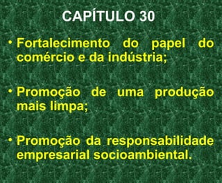 CAPÍTULO 30
• Fortalecimento do papel do
comércio e da indústria;
• Promoção de uma produção
mais limpa;
• Promoção da responsabilidade
empresarial socioambiental.
 