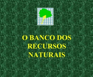 O BANCO DOS
RECURSOS
NATURAIS
 