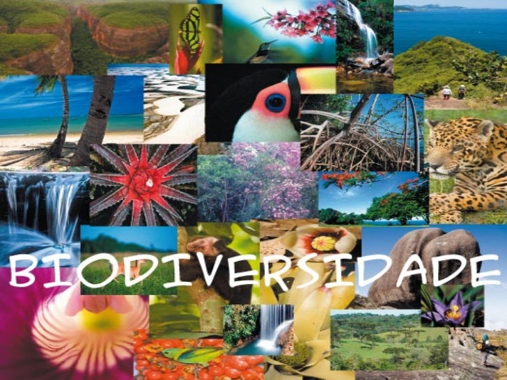 BIODIVERSIDADE