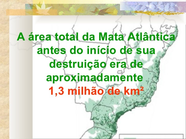 A área total da Mata Atlântica antes do início de sua destruição era de aproximadamente 1,3 milhão de km²