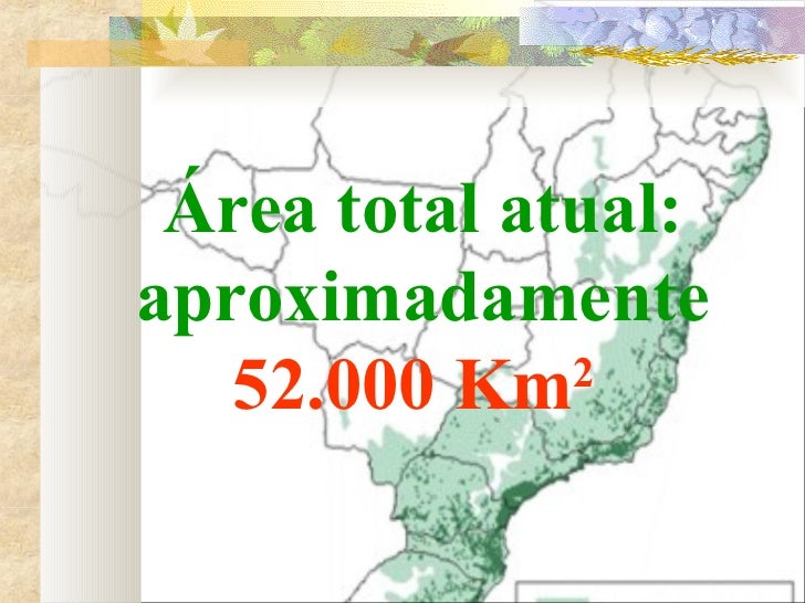 Área total atual: aproximadamente 52.000 Km 2