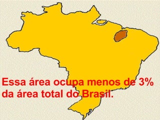 Essa área ocupa menos de 3% da área total do Brasil. 