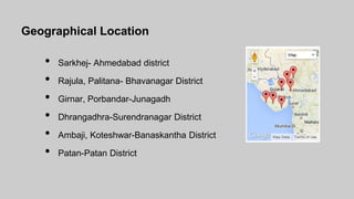 Geographical Location
• Sarkhej- Ahmedabad district
• Rajula, Palitana- Bhavanagar District
• Girnar, Porbandar-Junagadh
• Dhrangadhra-Surendranagar District
• Ambaji, Koteshwar-Banaskantha District
• Patan-Patan District
 