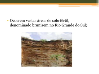 • Ocorrem vastas áreas de solo fértil,
denominado brunizem no Rio Grande do Sul;
 
