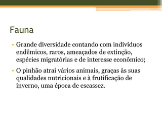 Fauna
• Grande diversidade contando com indivíduos
endêmicos, raros, ameaçados de extinção,
espécies migratórias e de interesse econômico;
• O pinhão atrai vários animais, graças às suas
qualidades nutricionais e à frutificação de
inverno, uma época de escassez.
 
