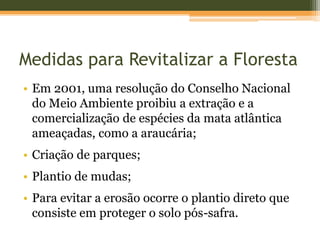 Medidas para Revitalizar a Floresta
• Em 2001, uma resolução do Conselho Nacional
do Meio Ambiente proibiu a extração e a
comercialização de espécies da mata atlântica
ameaçadas, como a araucária;
• Criação de parques;
• Plantio de mudas;
• Para evitar a erosão ocorre o plantio direto que
consiste em proteger o solo pós-safra.
 