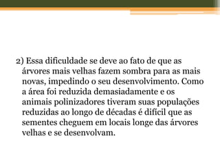 2) Essa dificuldade se deve ao fato de que as
árvores mais velhas fazem sombra para as mais
novas, impedindo o seu desenvolvimento. Como
a área foi reduzida demasiadamente e os
animais polinizadores tiveram suas populações
reduzidas ao longo de décadas é difícil que as
sementes cheguem em locais longe das árvores
velhas e se desenvolvam.
 