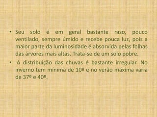 O clima é predominante tropical úmido, é caracterizado por altas temperaturas, nebulosidade no alto das montanhas e umidade elevada.Seu solo é em geral bastante raso, pouco ventilado, sempre úmido e recebe pouca luz, pois a maior parte da luminosidade é absorvida pelas folhas das árvores mais altas. Trata-se de um solo pobre. A distribuição das chuvas é bastante irregular. No inverno tem mínima de 10º e no verão máxima varia de 37º e 40º.