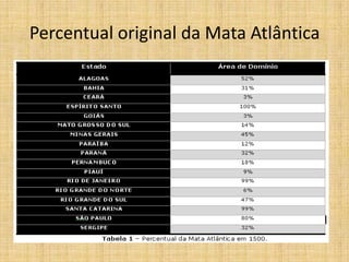 Percentual original da Mata Atlântica