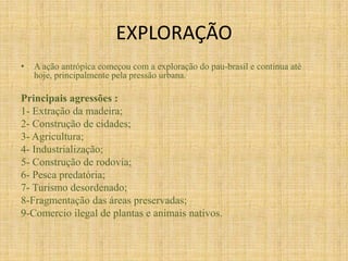 EXPLORAÇÃOA ação antrópica começou com a exploração do pau-brasil e continua até hoje, principalmente pela pressão urbana.Principais agressões :1- Extração da madeira;2- Construção de cidades;3- Agricultura;4- Industrialização;5- Construção de rodovia;6- Pesca predatória;7- Turismo desordenado;8-Fragmentação das áreas preservadas;9-Comercio ilegal de plantas e animais nativos.