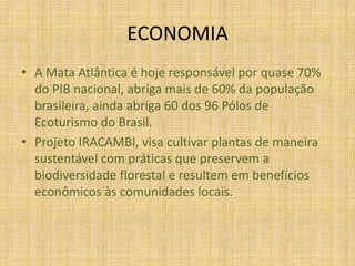 ECONOMIA A Mata Atlântica é hoje responsável por quase 70% do PIB nacional, abriga mais de 60% da população brasileira, ainda abriga 60 dos 96 Pólos de Ecoturismo do Brasil.Projeto IRACAMBI, visa cultivar plantas de maneira sustentável com práticas que preservem a biodiversidade florestal e resultem em benefícios econômicos às comunidades locais.