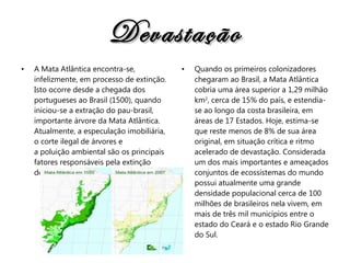 Devastação A Mata Atlântica encontra-se, infelizmente, em processo de extinção. Isto ocorre desde a chegada dos portugueses ao Brasil (1500), quando iniciou-se a extração do pau-brasil, importante árvore da Mata Atlântica. Atualmente, a especulação imobiliária, o corte ilegal de árvores e a poluição ambiental são os principais fatores responsáveis pela extinção desta mata. Quando os primeiros colonizadores chegaram ao Brasil, a Mata Atlântica cobria uma área superior a 1,29 milhão km 2 , cerca de 15% do país, e estendia-se ao longo da costa brasileira, em áreas de 17 Estados. Hoje, estima-se que reste menos de 8% de sua área original, em situação crítica e ritmo acelerado de devastação. Considerada um dos mais importantes e ameaçados conjuntos de ecossistemas do mundo possui atualmente uma grande densidade populacional cerca de 100 milhões de brasileiros nela vivem, em mais de três mil municípios entre o estado do Ceará e o estado Rio Grande do Sul. 