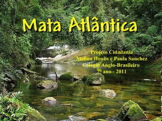Mata Atlântica
           Projeto Cidadania
      Melina Houlis e Paula Sanchez
       Colégio Anglo-Brasileiro
              7° ano - 2011
 