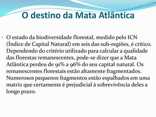 O destino da Mata Atlântica
• O estado da biodiversidade florestal, medido pelo ICN
(Índice de Capital Natural) em seis das sub-regiões, é crítico.
Dependendo do critério utilizado para calcular a qualidade
das florestas remanescentes, pode-se dizer que a Mata
Atlântica perdeu de 91% a 96% do seu capital natural. Os
remanescentes florestais estão altamente fragmentados.
Numerosos pequenos fragmentos estão espalhados em uma
matriz que certamente é prejudicial à sobrevivência deles a
longo prazo.
 