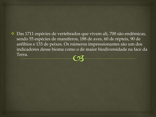  Das 1711 espécies de vertebrados que vivem ali, 700 são endêmicas,
sendo 55 espécies de mamíferos, 188 de aves, 60 de répteis, 90 de
anfíbios e 133 de peixes. Os números impressionantes são um dos
indicadores desse bioma como o de maior biodiversidade na face da
Terra.
 