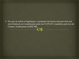  No que se refere à legislação, a proteção da fauna está prevista em
nível federal na Constituição pela Lei 5.197/67 e também pela Lei de
Crimes Ambientais (9.605/98).
 