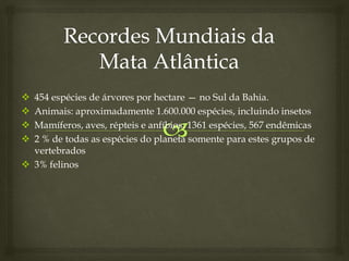  454 espécies de árvores por hectare — no Sul da Bahia.
 Animais: aproximadamente 1.600.000 espécies, incluindo insetos
 Mamíferos, aves, répteis e anfíbios: 1361 espécies, 567 endêmicas
 2 % de todas as espécies do planeta somente para estes grupos de
vertebrados
 3% felinos
 