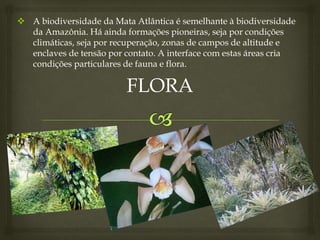  A biodiversidade da Mata Atlântica é semelhante à biodiversidade
da Amazônia. Há ainda formações pioneiras, seja por condições
climáticas, seja por recuperação, zonas de campos de altitude e
enclaves de tensão por contato. A interface com estas áreas cria
condições particulares de fauna e flora.
FLORA
 
