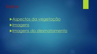Índice
Aspectos da vegetação
Imagens
Imagens do desmatamento
 