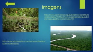 http://www.biodiversitas.org.br/boletim/eao/2008/fe
vereiro/index.htmhttp://www.biodiversitas.org.br/bol
etim/eao/2008/fevereiro/index.htm
http://www.estudopratico.com.br/mata-atlantica-
fauna-flora-e-fotos/
Imagens
 