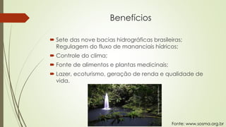 Benefícios
 Sete das nove bacias hidrográficas brasileiras;
Regulagem do fluxo de mananciais hídricos;
 Controle do clima;
 Fonte de alimentos e plantas medicinais;
 Lazer, ecoturismo, geração de renda e qualidade de
vida.
Fonte: www.sosma.org.br
 