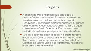 Origem
 A origem da Mata Atlântica está associada à
separação dos continentes africano e sul americano
(eles formavam um único continente chamado
Gondwana), ocorrida há aproximadamente 80 milhões
de anos atrás. A acomodação de tanta terra e água
com a formação do Oceano Atlântico, marcou um
período de agitação geológica que sacudiu a Terra.
 Vulcões e grandes acomodações na crosta terrestre
levantaram inúmeros blocos de montanhas, como a
Serra do Mar, que ocupou a faixa litorânea de Santa
Catarina ao Espírito Santo e se transformou no cenário
ideal para a Mata Atlântica.
Fonte: biobras.org.br
 