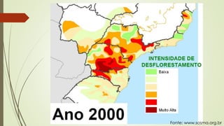 Fonte: www.sosma.org.br
 