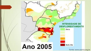 Fonte: www.sosma.org.br
 