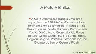 A Mata Atlântica
A Mata Atlântica abrangia uma área
equivalente a 1.315.460 km2 e estendia-se
originalmente ao longo de 17 Estados (Rio
Grande do Sul, Santa Catarina, Paraná, São
Paulo, Goiás, Mato Grosso do Sul, Rio de
Janeiro, Minas Gerais, Espírito Santo, Bahia,
Alagoas, Sergipe, Paraíba, Pernambuco, Rio
Grande do Norte, Ceará e Piauí).
Fonte: www.sosma.org.br
 