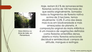 Hoje, restam 8,5 % de remanescentes
florestais acima de 100 hectares do
que existia originalmente. Somados
todos os fragmentos de floresta nativa
acima de 3 hectares, temos
atualmente 12,5%. É uma das áreas
mais ricas em biodiversidade e mais
ameaçadas do planeta. A
composição original da Mata Atlântica
é um mosaico de vegetações definidas
como florestas ombrófilas densa,
aberta e mista; florestas estacionais
decidual e semidecidual; campos de
altitude, mangues e restingas
Mata Atlântica na
Zona da mata, em
Pernambuco.
Fonte: www.sosma.org.br
 