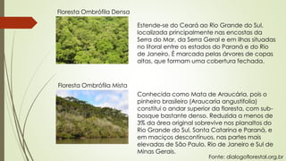 Estende-se do Ceará ao Rio Grande do Sul,
localizada principalmente nas encostas da
Serra do Mar, da Serra Geral e em ilhas situadas
no litoral entre os estados do Paraná e do Rio
de Janeiro. É marcada pelas árvores de copas
altas, que formam uma cobertura fechada.
Floresta Ombrófila Densa
Floresta Ombrófila Mista
Conhecida como Mata de Araucária, pois o
pinheiro brasileiro (Araucaria angustifolia)
constitui o andar superior da floresta, com sub-
bosque bastante denso. Reduzida a menos de
3% da área original sobrevive nos planaltos do
Rio Grande do Sul, Santa Catarina e Paraná, e
em maciços descontínuos, nas partes mais
elevadas de São Paulo, Rio de Janeiro e Sul de
Minas Gerais.
Fonte: dialogoflorestal.org.br
 