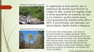 Floresta Ombrófila Aberta
A vegetação é mais aberta, sem a
presença de árvores que fechem as
copas no alto, ocorre em regiões onde
o clima apresenta um período de dois
a, no máximo, quatro meses secos,
com temperaturas médias entre 24ºC e
25ºC. É encontrada, por exemplo, em
Minas Gerais, Espírito Santo e Alagoas.
Floresta Estacional Decidual
É uma das mais ameaçadas, com poucos
remanescentes em regiões da Bahia, Minas
Gerais, Santa Catarina e Rio Grande do Sul. Sua
vegetação ocorre em locais com duas estações
bem demarcadas: uma chuvosa, seguida de
longo período seco. Mais de 50% das árvores
perdem as folhas na época de estiagem. Alguns
encraves ocorrem no nordeste, nos estados do
Piauí e da Bahia.
Fonte: dialogoflorestal.org.br
 