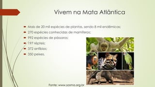 Vivem na Mata Atlântica
 Mais de 20 mil espécies de plantas, sendo 8 mil endêmicas;
 270 espécies conhecidas de mamíferos;
 992 espécies de pássaros;
 197 répteis;
 372 anfíbios;
 350 peixes.
Fonte: www.sosma.org.br
 