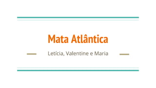 Mata Atlântica
Letícia, Valentine e Maria
 