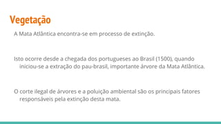 Vegetação
A Mata Atlântica encontra-se em processo de extinção.
Isto ocorre desde a chegada dos portugueses ao Brasil (1500), quando
iniciou-se a extração do pau-brasil, importante árvore da Mata Atlântica.
O corte ilegal de árvores e a poluição ambiental são os principais fatores
responsáveis pela extinção desta mata.
 