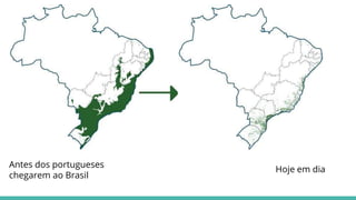 Antes dos portugueses
chegarem ao Brasil
Hoje em dia
 