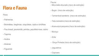Flora e Fauna
Flora:
- Palmeiras
- Bromélias, begônias, orquídeas, cipós e briófitas
- Pau-brasil, jacarandá, peroba, jequitibá-rosa, cedro
- Tapirira
- Andira
- Ananas
- Figueiras
Fauna
- Mico-leão-dourado (risco de extinção)
- Bugio (risco de extinção)
- Tamanduá bandeira (risco de extinção)
- Tatu-canastra (risco de extinção)
- Arara-azul-pequena (risco de extinção)
- Muriqui
- Anta
- Onça Pintada (risco de extinção)
- Jaguatirica
- Capivara
 