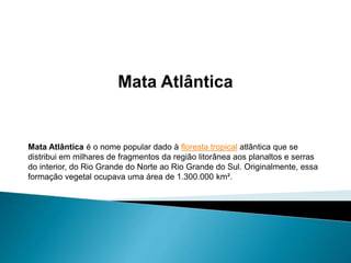 Mata Atlântica é o nome popular dado à floresta tropical atlântica que se
distribui em milhares de fragmentos da região litorânea aos planaltos e serras
do interior, do Rio Grande do Norte ao Rio Grande do Sul. Originalmente, essa
formação vegetal ocupava uma área de 1.300.000 km².
 
