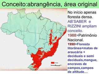 Conceito:abrangência, área original No início apenas  floresta densa. AB’SABER  e  RIZZINI ampliam conceito. 1988 > Patrimônio Nacional. 1990 >Floresta litorânea+matas de araucária + deciduais e semi deciduais,mangue, encraves de campos,campos de altitude.... 