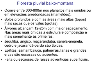 Floresta pluvial baixo-montana Ocorre entre 300-800m nos planaltos mais úmidos ou em elevações arredondadas (mamelões). Solos profundos e com as áreas mais altas (topos) mais secas que os vales (grotas). Árvores alcançam 12-25m com maior espaçamento. Nas áreas mais úmidas a estrutura e composição é mais semelhante às primeiras. Jequtibá, angico, maçaranduba, canela-amarela, cedro e jacarandá-pardo são típicas. Epífitas, samambaiuçu, palmeiras,lianas e grandes  ervas são escassas ou ausentes. Falta ou escassez de raizes adventícias superficiais. 