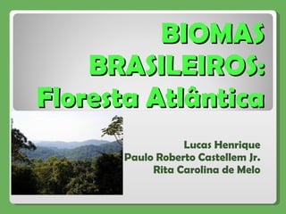 BIOMAS BRASILEIROS: Floresta Atlântica Lucas Henrique Paulo Roberto Castellem Jr. Rita Carolina de Melo 