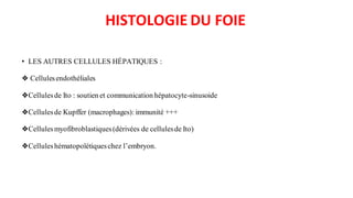 • LES AUTRES CELLULES HÉPATIQUES :
❖ Cellulesendothéliales
❖Cellulesde Ito : soutien et communication hépatocyte-sinusoide
❖Cellulesde Kupffer (macrophages): immunité +++
❖Cellulesmyofibroblastiques(dérivées de cellulesde Ito)
❖Celluleshématopoïétiqueschez l’embryon.
HISTOLOGIE DU FOIE
 