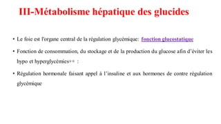 • Le foie est l'organe central de la régulation glycémique: fonction glucostatique
• Fonction de consommation, du stockage et de la production du glucose afin d’éviter les
hypo et hyperglycémies++ :
• Régulation hormonale faisant appel à l’insuline et aux hormones de contre régulation
glycémique
III-Métabolisme hépatique des glucides
 