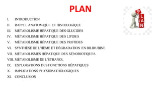 PLAN
I. INTRODUCTION
II. RAPPEL ANATOMIQUE ET HISTOLOGIQUE
III. MÉTABOLISME HÉPATIQUE DES GLUCIDES
IV. MÉTABOLISME HÉPATIQUE DES LIPIDES
V. MÉTABOLISME HÉPATIQUE DES PROTIDES
VI. SYNTHÈSE DE L'HÈME ET DÉGRADATION EN BILIRUBINE
VII. MÉTABOLISMES HÉPATIQUE DES XÉNOBIOTIQUES.
VIII. MÉTABOLISME DE L'ÉTHANOL
IX. EXPLORATIONS DES FONCTIONS HÉPATIQUES
X. IMPLICATIONS PHYSIOPATHOLOGIQUES
XI. CONCLUSION
 