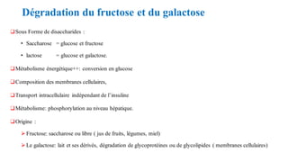 Dégradation du fructose et du galactose
❑Sous Forme de disaccharides :
• Saccharose = glucose et fructose
• lactose = glucose et galactose.
❑Métabolisme énergétique++: conversion en glucose
❑Composition des membranes cellulaires,
❑Transport intracellulaire indépendant de l’insuline
❑Métabolisme: phosphorylation au niveau hépatique.
❑Origine :
⮚Fructose: saccharose ou libre ( jus de fruits, légumes, miel)
⮚Le galactose: lait et ses dérivés, dégradation de glycoprotéines ou de glycolipides ( membranes cellulaires)
 