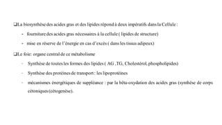 ❑La biosynthèse des acides gras et des lipides répond à deux impératifs dans la Cellule:
- fourniture des acides gras nécessaires à la cellule ( lipides de structure)
- mise en réserve de l’énergie en cas d’excès ( dans les tissus adipeux)
❑Le foie: organe central de ce métabolisme
∙ Synthèse de toutesles formes des lipides ( AG ,TG, Cholestérol, phospholipides)
∙ Synthèse des protéinesde transport: les lipoprotéines
∙ mécanismes énergétiques de suppléance : par la bêta-oxydation des acides gras (synthèse de corps
cétoniques(cétogenèse).
 