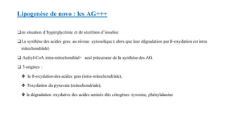 ❑en situation d’hyperglycémie et de sécrétion d’insuline
❑La synthèse des acides gras: au niveau cytosolique ( alors que leur dégradation par ß-oxydation est intra
mitochondriale)
❑ Acétyl-CoA intra-mitochondrial= seul précurseur de la synthèse des AG.
❑ 3 origines :
❖ la ß-oxydation des acides gras (intra-mitochondriale),
❖ l'oxydation du pyruvate (mitochondriale),
❖ la dégradation oxydative des acides aminés dits cétogènes :tyrosine, phénylalanine
Lipogenèse de novo : les AG+++
 