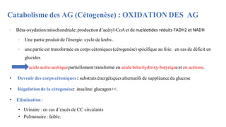 Catabolisme des AG (Cétogenèse) : OXIDATION DES AG
∙ Bêta-oxydationmitochondriale:productiond’acétyl-CoAet de nucléotides réduits FADH2 et NADH
∙ Une partie produit de l'énergie: cycle de krebs .
∙ une partie est transformée en corps cétoniques(cétogenèse) spécifique au foie: en cas de déficit en
glucides
acide acéto-acétiquepartiellementtransformé en acide bêta-hydroxy-butyriqueet en acétone.
• Devenirdes corps cétoniques : substrats énergétiques alternatifs de suppléancedu glucose
• Régulationde la cétogenèse: insuline/ glucagon++.
• Elimination :
• Urinaire : en cas d’excès de CC circulants
• Pulmonaire: faible.
 